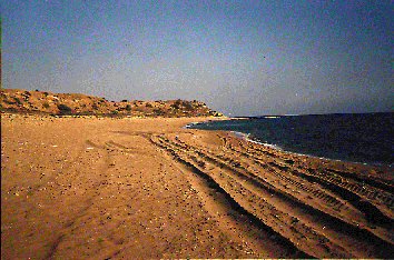 tyre tracks on mounda beach